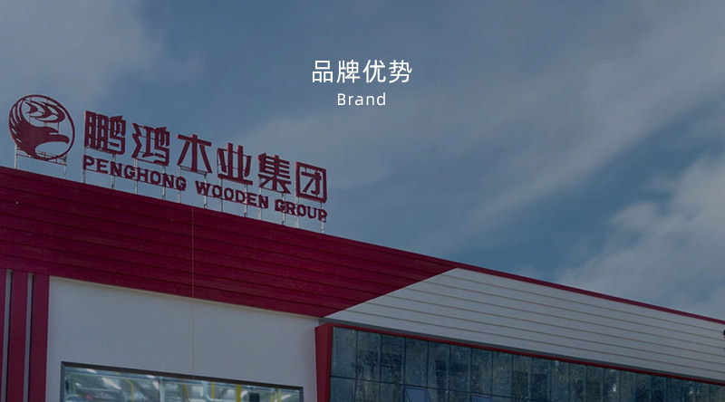 板材品牌、全屋定制品牌、生態(tài)板十大品牌