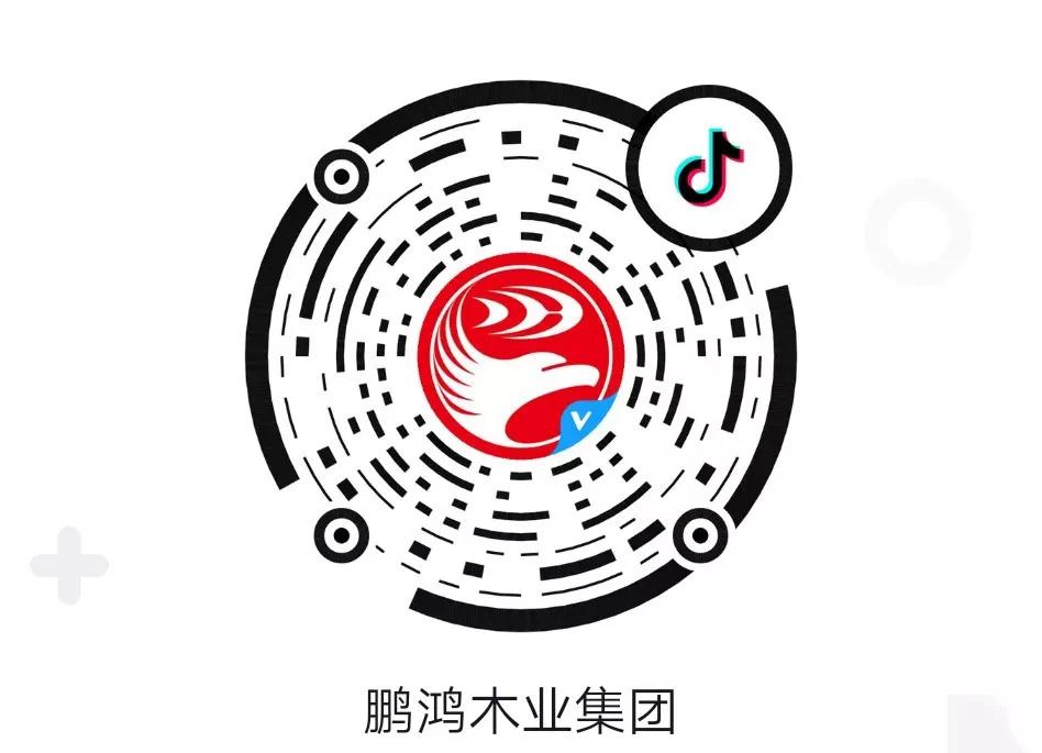這廂有禮丨這個春節(jié)我最鴻，抖音相伴幸福年
